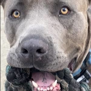 Meet your Posher, Larry